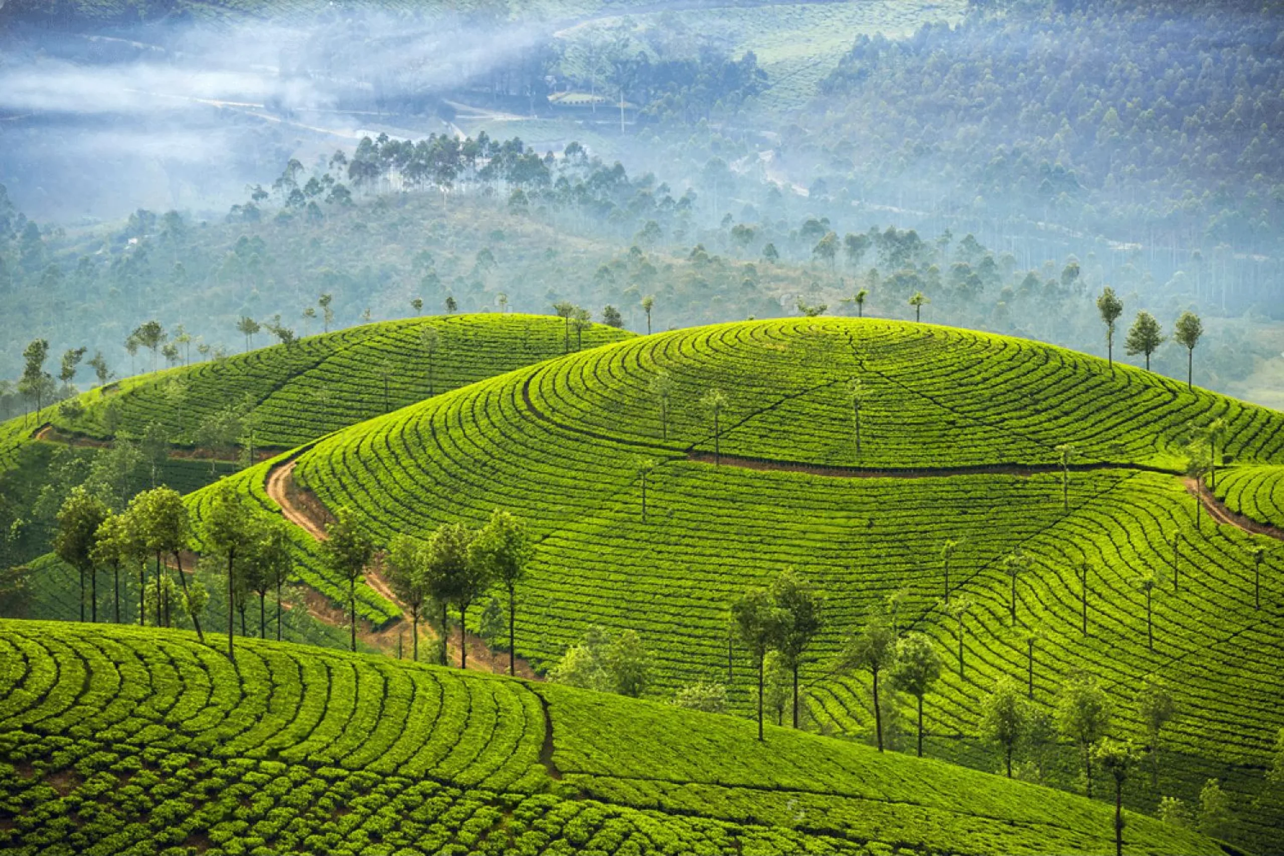 Kerala 5Night / 6Days Tour